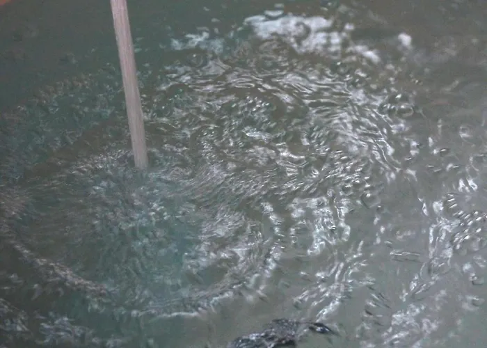 Casa Rosmini Rooms, Dolomia