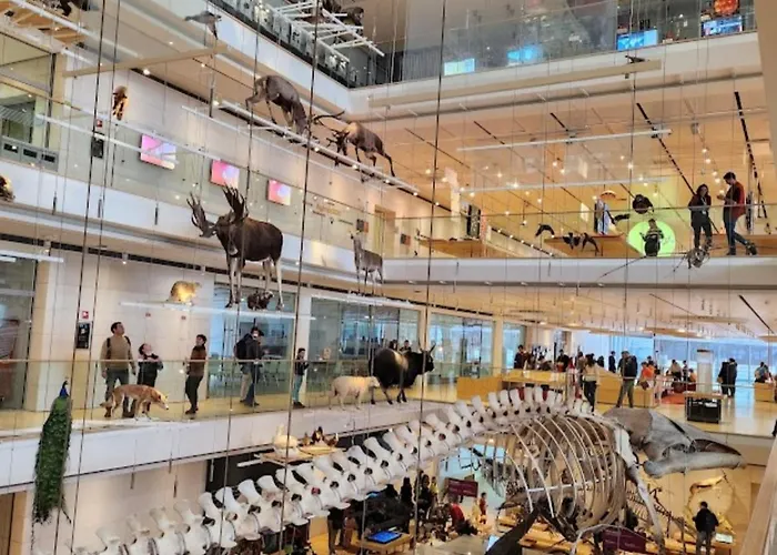 ベッド・アンド・ブレックファスト Casa Rosmini Rooms, Dolomia トレント